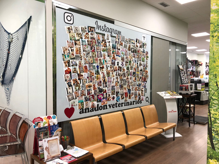 Clínica Veterinària Anadon (Lleida)