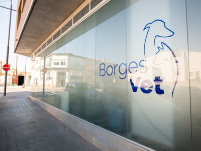 Clínica Veterinària Borges Vet (Les Borges Blanques)