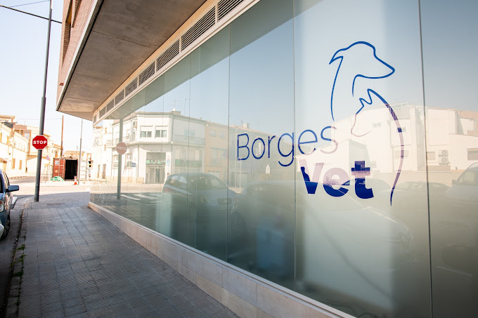 Clínica Veterinària Borges Vet (Les Borges Blanques)