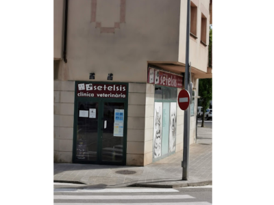 Clínica Veterinària Setelsis (Solsona)