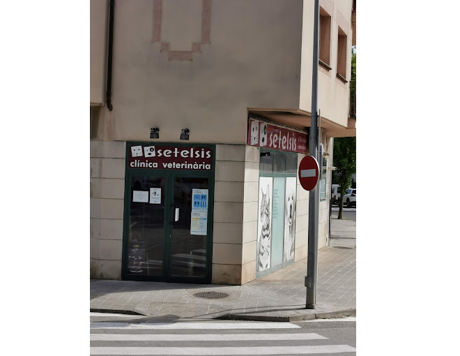 Clínica Veterinària Setelsis (Solsona)