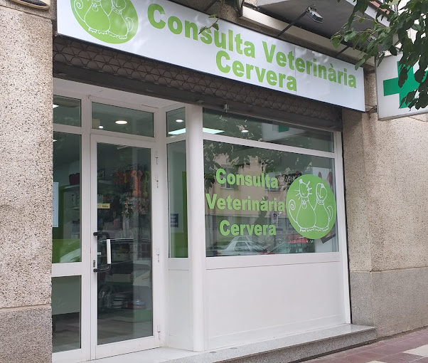 Consultori Veterinari Cervera (Cervera)