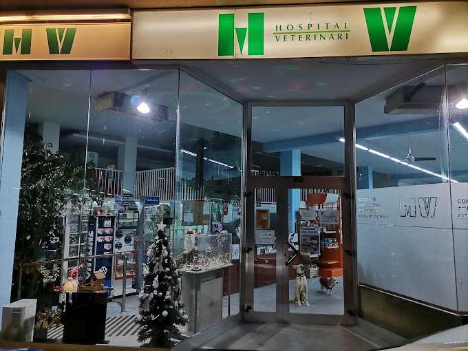 Hospital Veterinari Mollerussa (Mollerussa)