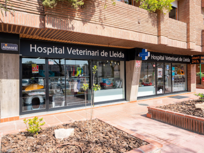 Unavets - Hospital Veterinari de Lleida (Lleida)