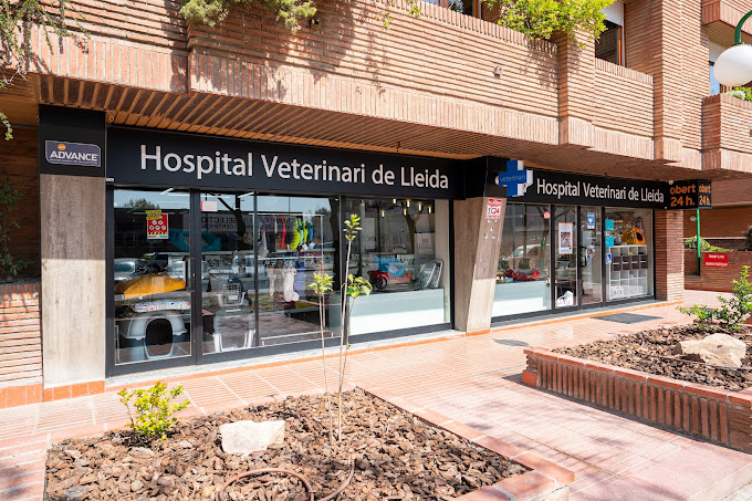 Unavets - Hospital Veterinari de Lleida (Lleida)