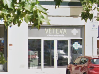VETEVA Clínica Veterinària (Solsona)