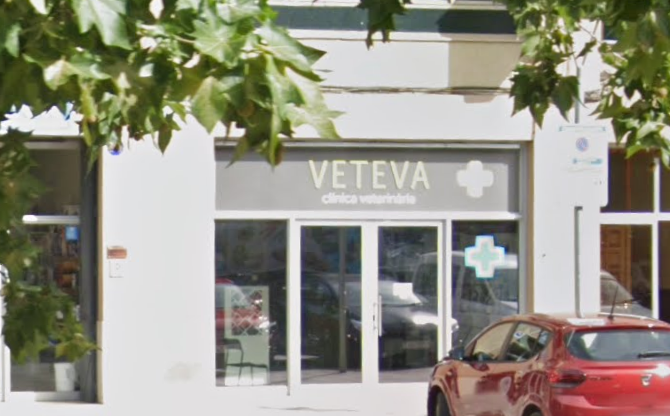 VETEVA Clínica Veterinària (Solsona)