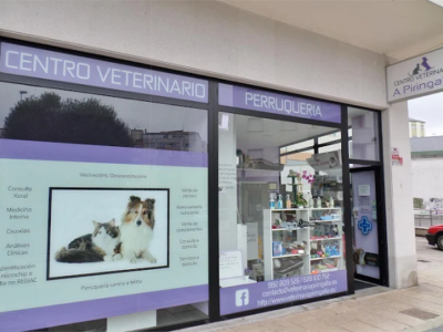 Centro Veterinario A Piringalla (Lugo)