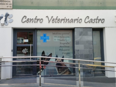 Centro Veterinario Castro (Ribeiras de Lea)