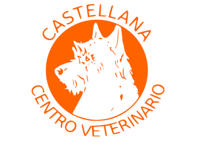 Centro Veterinario Castellana (Madrid)