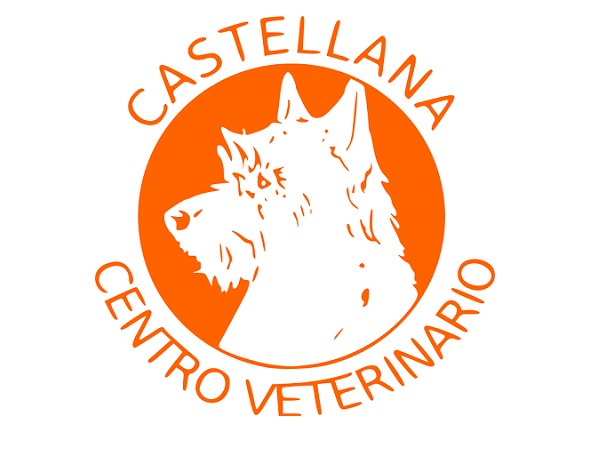 Centro Veterinario Castellana (Madrid)