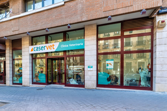 Clínica Veterinaria Caservet Olavide (Madrid)