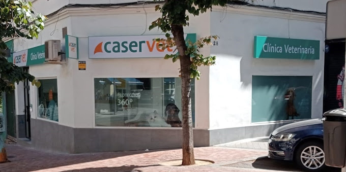 Clínica Veterinaria Caservet Pilar de Zaragoza (Madrid)
