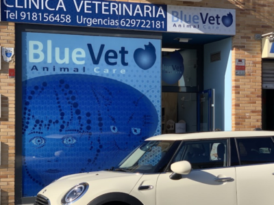 BlueVet (Villanueva de la Cañada)