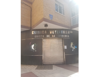 Cristo de la Epidemia (Málaga)