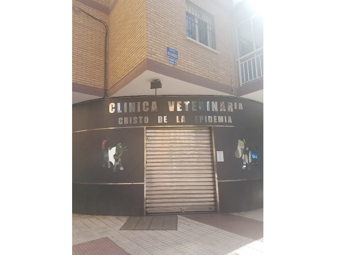 Cristo de la Epidemia (Málaga)