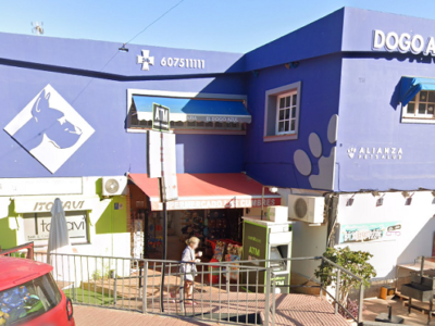 El Dogo Azul Elviria (Marbella)