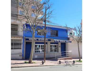 Hospital Veterinario Benalmádena Costa (Benalmádena)