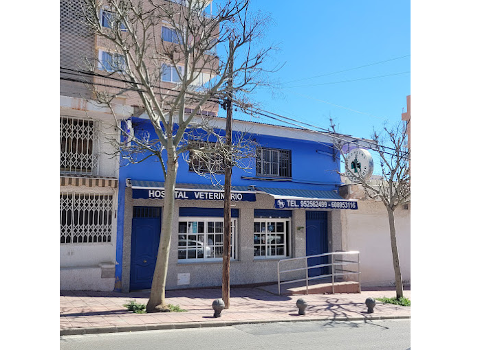Hospital Veterinario Benalmádena Costa (Benalmádena)