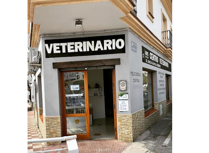 GMC Vet Group Estación Cártama - Centro Veterinario Perro Pirata (Cártama)