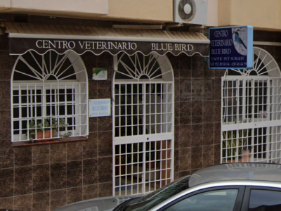 Centro Veterinario Blue Bird (Estepona)