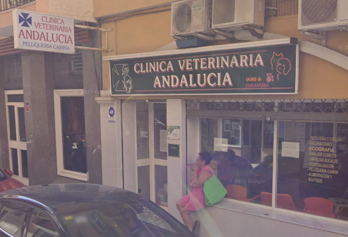 Clínica Veterinaria Andalucía (Fuengirola)