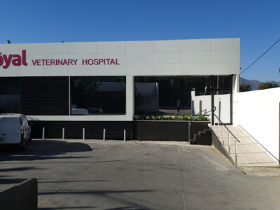 Hospital Veterinario Fuengirola-Mijas Royalvet (Fuengirola)