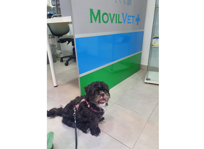 Movil Vet (Fuengirola)