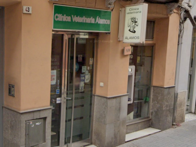Clínica Veterinaria Álamos (Málaga)