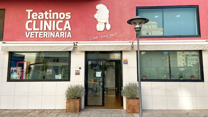 Centro Veterinario Teatinos (Málaga)