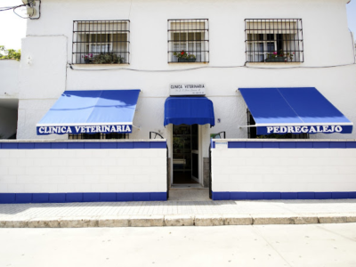 Clínica Veterinaria Pedregalejo (Málaga)