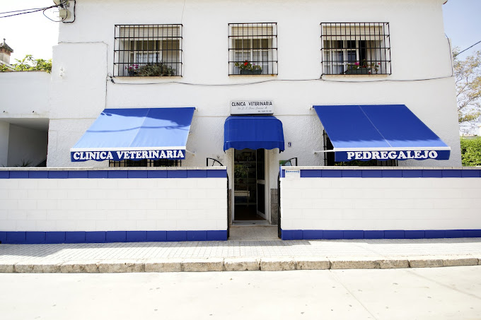 Clínica Veterinaria Pedregalejo (Málaga)
