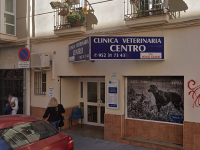 Clínica Veterinaria Centro (Málaga)