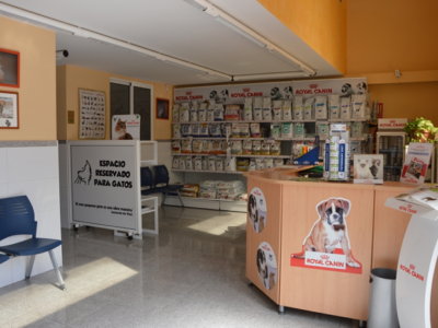 Clínica Veterinaria Albeitar (Melilla)