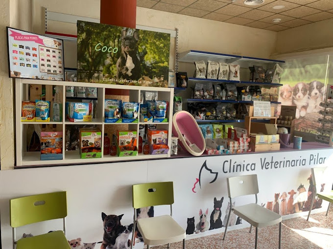 María del Pilar Candel Molina (Abarán)