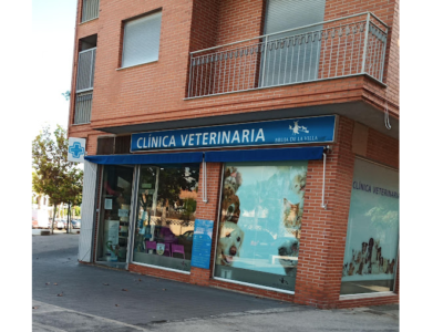 Clínica Veterinaria Bruja de la Villa (Alcantarilla)