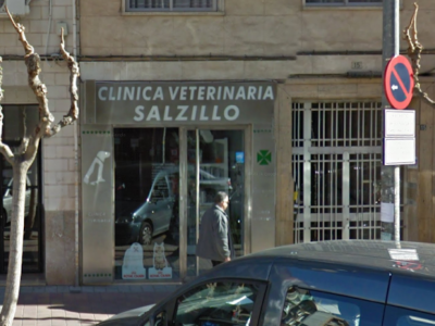 Clínica Veterinaria Salzillo - Jappipuppi (Murcia)