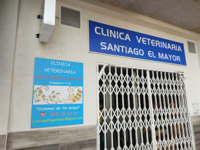 Clínica Veterinaria Santiago El Mayor (Murcia)