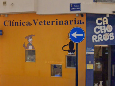 Clínica Veterinaria Cachorros (Alhama de Murcia)
