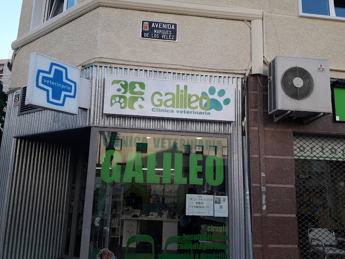 Clínica Veterinaria Galileo (Murcia)