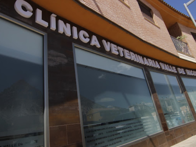 Clínica Veterinaria Valle de Ricote (Archena)