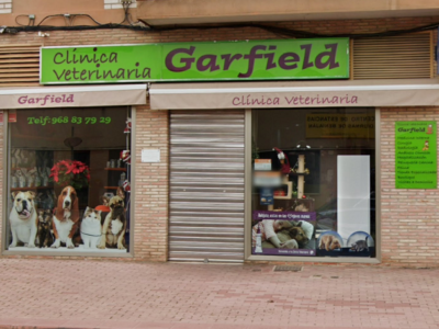 Garfield Veterinarios (Murcia)