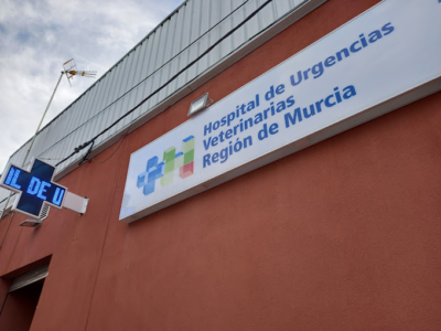 Hospital de Urgencias Veterinarias Región de Murcia (Murcia)
