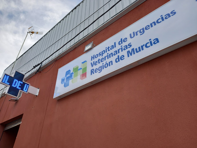 Hospital de Urgencias Veterinarias Región de Murcia (Murcia)
