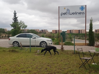 Pet Wellness (Murcia)