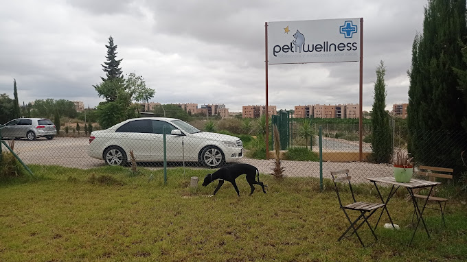 Pet Wellness (Murcia)