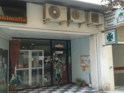 Animalia (Cartagena)