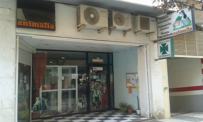 Animalia (Cartagena)