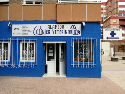 Clínica Veterinaria Alameda (Cartagena)