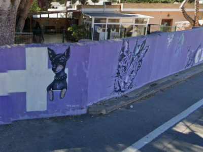 Clínica Veterinaria Cabo de Palos (Cartagena)